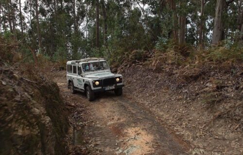 Madeira Jeep Safari – Vale da Nun e Cliff Sea