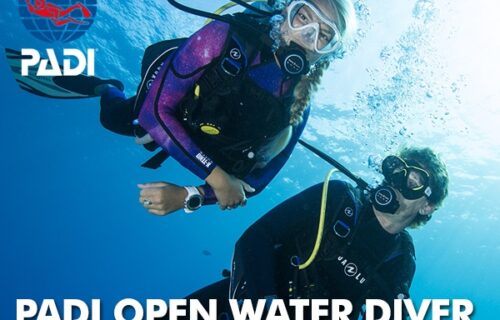 Mergulhador de água aberta